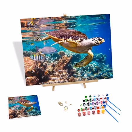 Painting by numbers, sköldpadda nr2, 40x50cm, med ram.