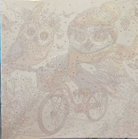 Painting by numbers, uggla på cykel, 40x40cm, med trästomme.