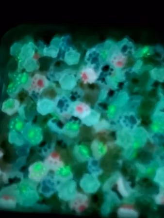 Nail art. Tassar, glow in the dark, 10mm (50st)