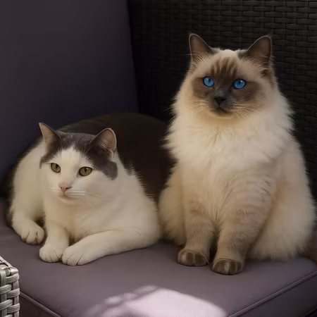 Nordh Painting by Number 50x50