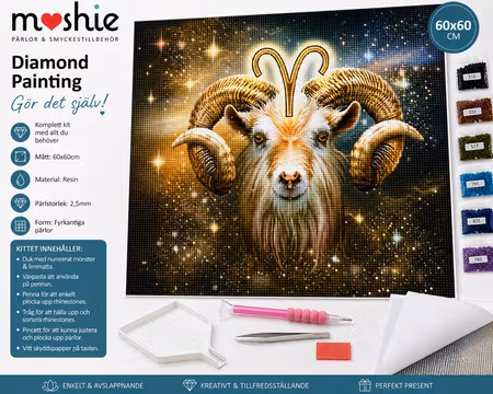 Diamond painting 60x60cm fyrkantiga pärlor DIY Väduren stjärntecken