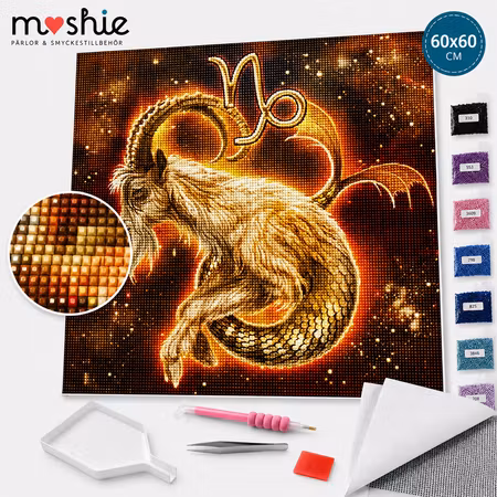 Diamond painting DIY stjärntecken Stenbocken 60x60cm Fyrkantiga pärlor