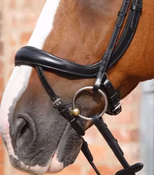 Premier Equine Savuto Anatomiskt träns