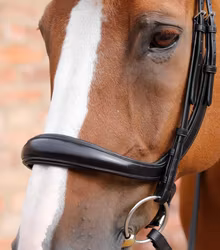 Premier Equine Lambro Anatomiskt träns