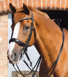 Premier Equine Abriano Anatomiskt Kandar