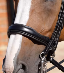 Premier Equine Abriano Anatomiskt Kandar