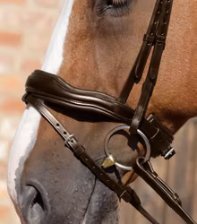 Premier Equine Rizzo anatomiskt träns