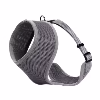 Iris sele Mesh