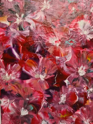 Alma 20X20