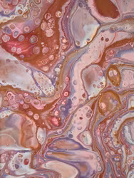 Gisela 30x30