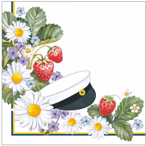 servett, bellebi.se, studenten, examen, skolavslutning
