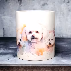 Mugg hundraser - Bichon frisé