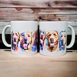 Mugg hundraser - Labrador retriever