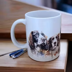 Mugg hundraser - Engelsk springer spaniel