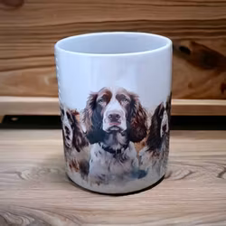 Mugg hundraser - Engelsk springer spaniel
