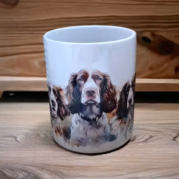 Mugg hundraser - Engelsk springer spaniel