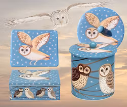 Kakburk i plåt Uggla från Dog & Dome