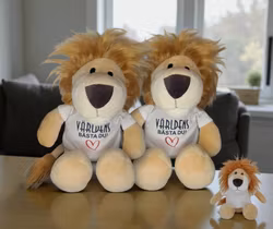 Världens bästa du - Lejon