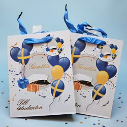 Presentpåse Student med text och ballonger Small