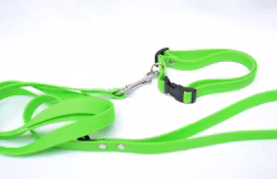 Koppel och halsband i Hexa