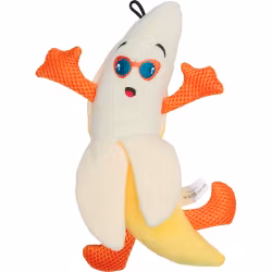 Companion Banan