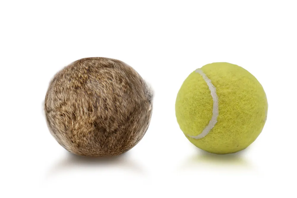 Firedog Rabbit Tennis Ball - Elsas Hundshop
