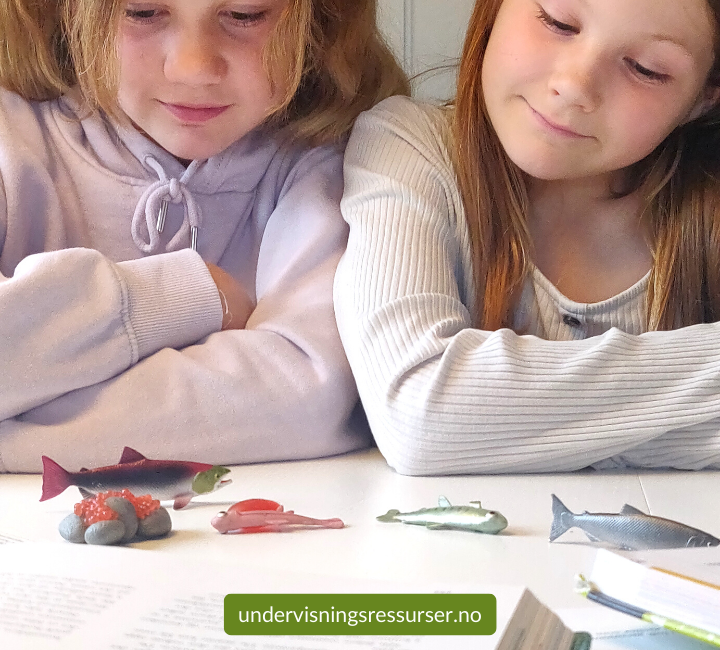 Laksens livssyklus, villaks, konkreter miniatyrfigurer