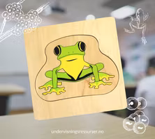 Froskens livssyklus, pedagogisk puslespill