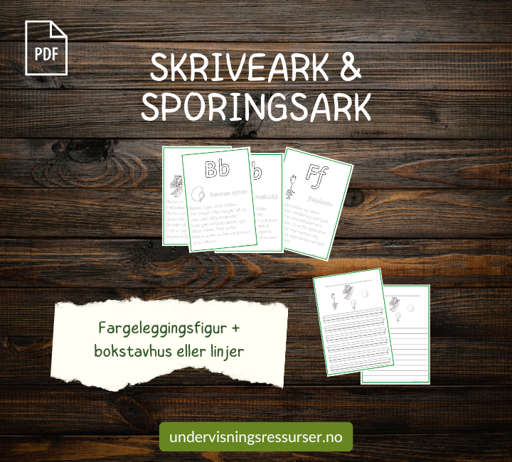 PDF Livssyklusen til en bønneplante - bønnenplantens livssyklus - spiring av bønner