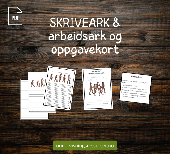 PDF Menneskets evolusjon - menneskets utvikling - Kulturfag matchingkort