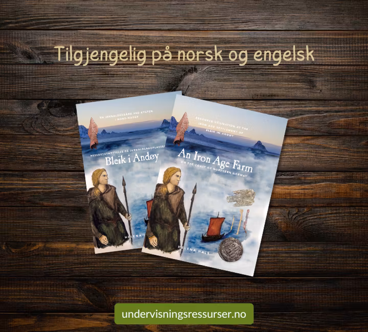 En jernaldergård ved kysten i Nord-Norge: Bleik i Andøy - Harcover bok