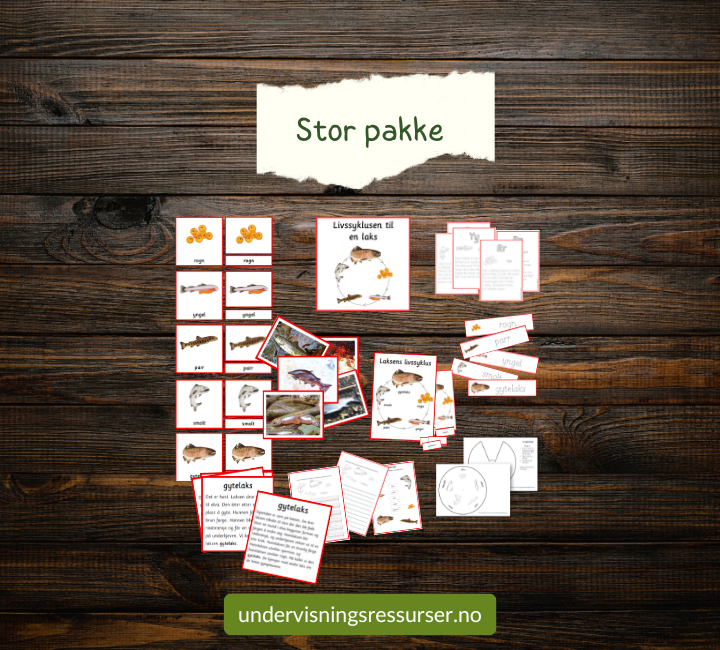 PDF Livssyklusen til en laks - laksens vandring - undervisningsopplegg villaks