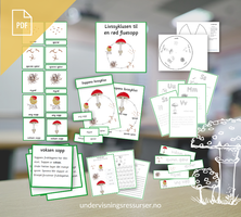 PDF Livssyklusen til en rød fluesopp -  soppens livssyklus - uteskole & naturfag