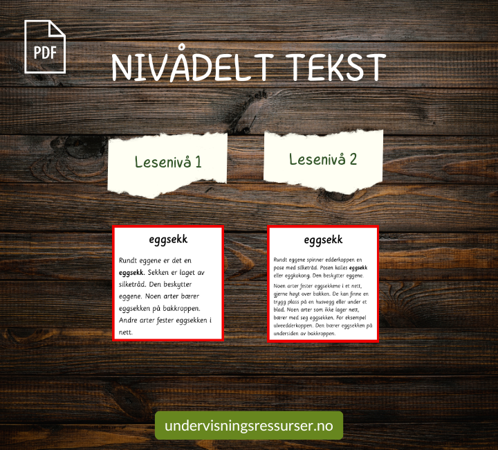 PDF Edderkopp - edderkoppens livssyklus - Montessori matchingkort