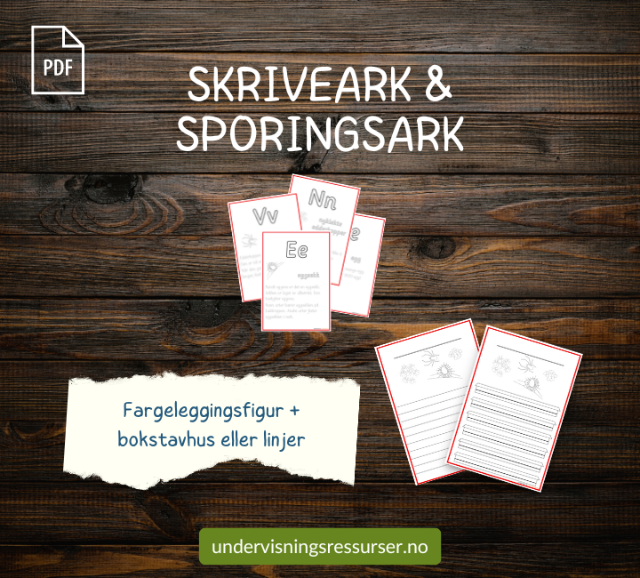 PDF Edderkopp - edderkoppens livssyklus - Montessori matchingkort