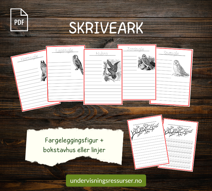 PDF Ugler i Norge - Flashcards, arbeidsark, arbeidshefte mmm