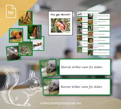 PDF Setningskort: Hva gjør ekornet? - verb og preposisjoner