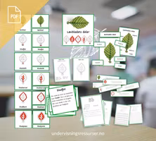 PDF Bladets deler og funksjon - Montessori kortmateriell for grunnskolen