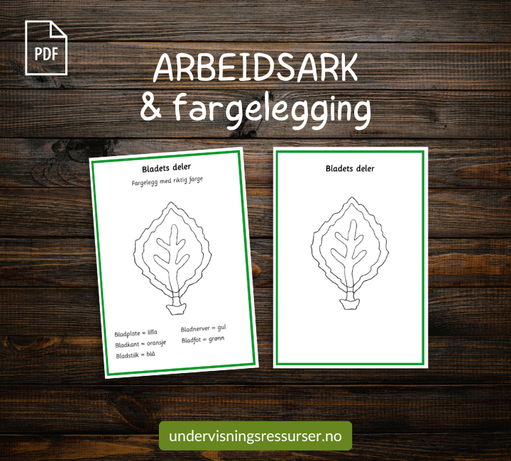 PDF Bladets deler og funksjon - Montessori kortmateriell for grunnskolen