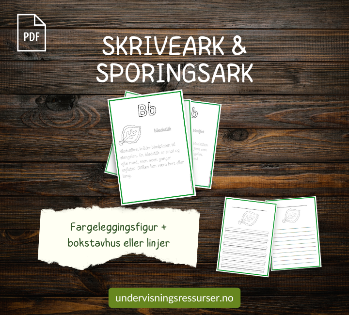 PDF Bladets deler og funksjon - Montessori kortmateriell for grunnskolen