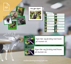 PDF Setningskort: Hva gjør elgen? - adjektiv og adverb