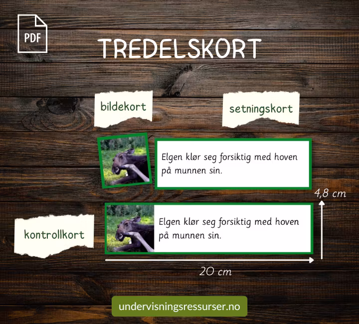 PDF Setningskort: Hva gjør elgen? - adjektiv og adverb