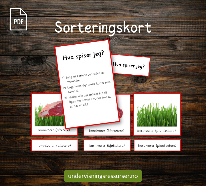 PDF Dyrelivet i Nord-Amerika: Bildekort og arbeidshefte