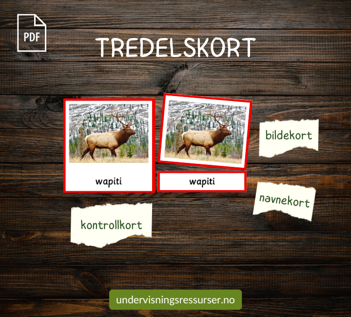 PDF Dyrelivet i Nord-Amerika: Bildekort og arbeidshefte