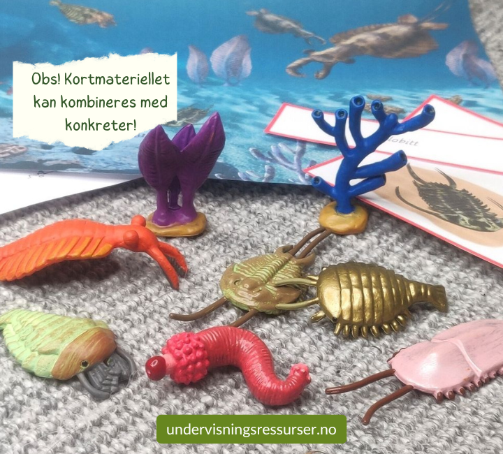 PDF Livet i kambrium - Bildekort, sporingskort, fargeleggingsark & arbeidshefte