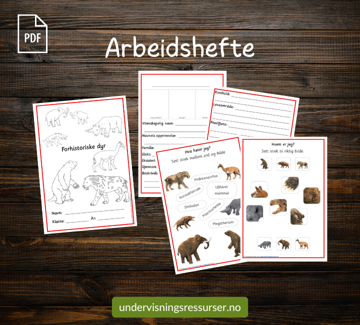 PDF Forhistoriske dyr, istidsdyr - Flashcards, arbeidsark & fargeleggingsark