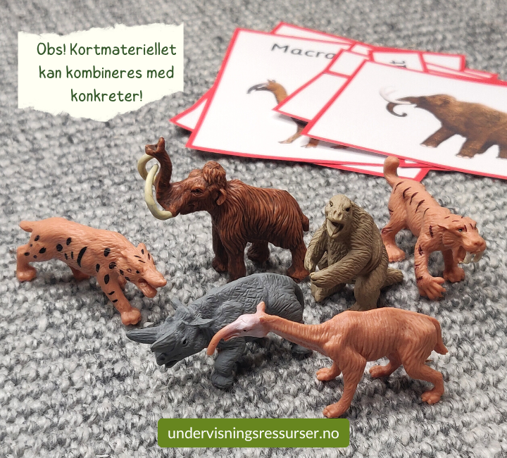 PDF Forhistoriske dyr, istidsdyr - Flashcards, arbeidsark & fargeleggingsark