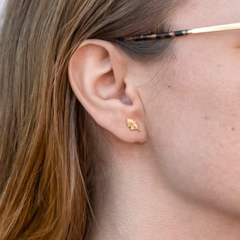 18K Eklöv Comfort - Örhängen i Återvunnet Guld