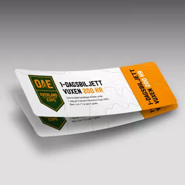 Dagbiljett (2 personer)