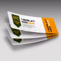 Dagbiljett (3 personer)